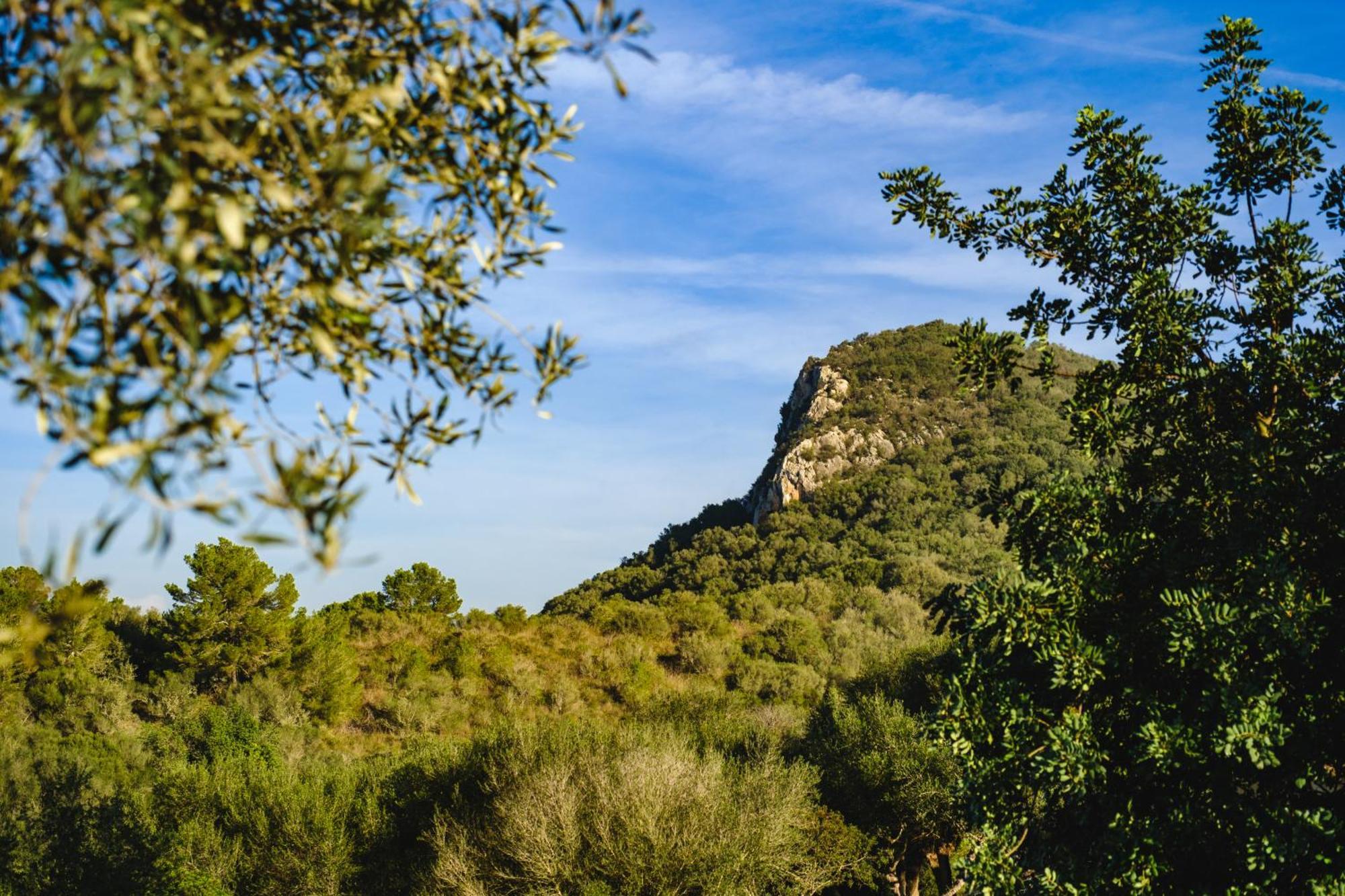 Finca Sa Bastida Luxury Retreat & Spa Adults Only Sant Joan 外观 照片