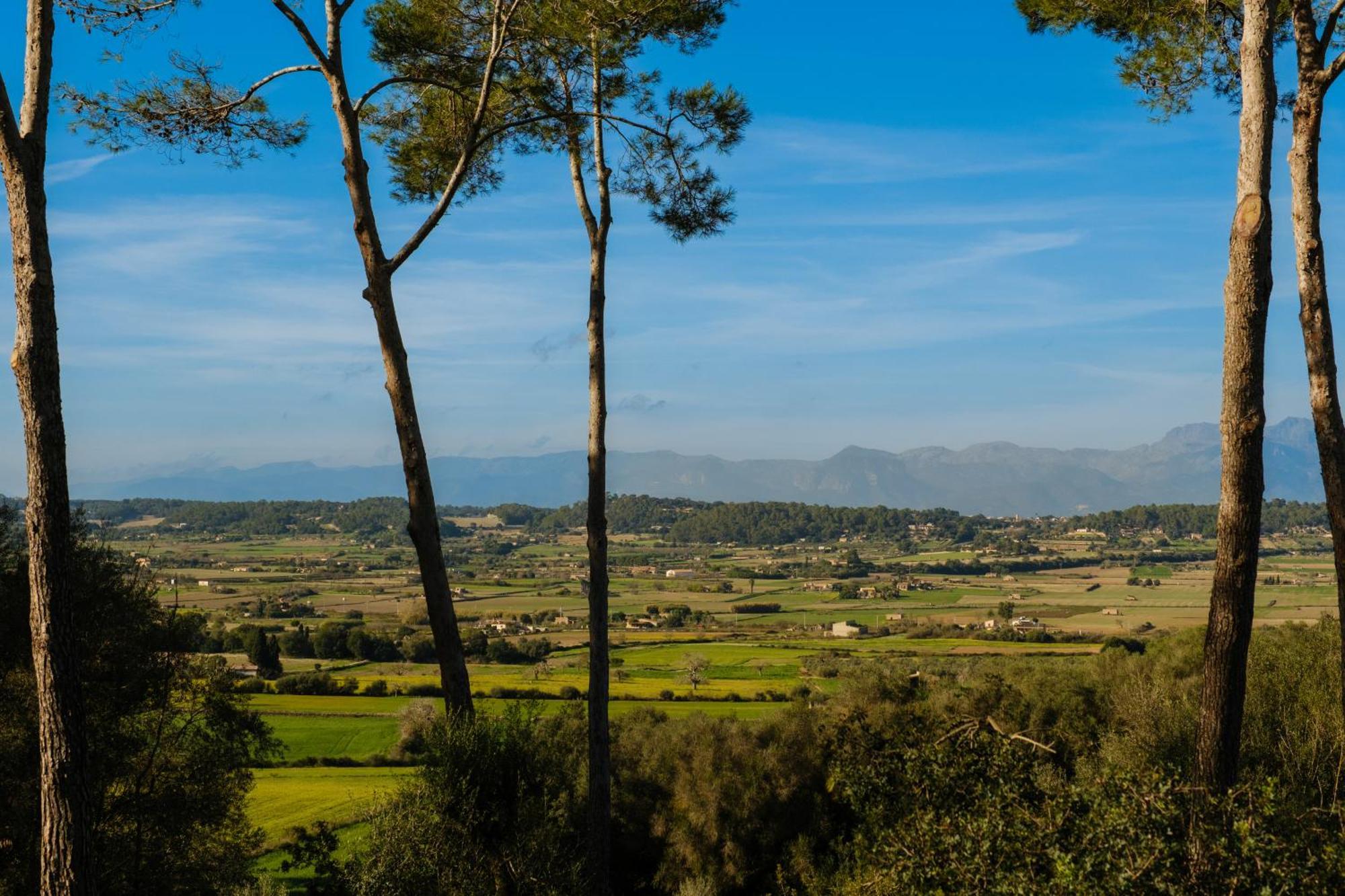 Finca Sa Bastida Luxury Retreat & Spa Adults Only Sant Joan 外观 照片